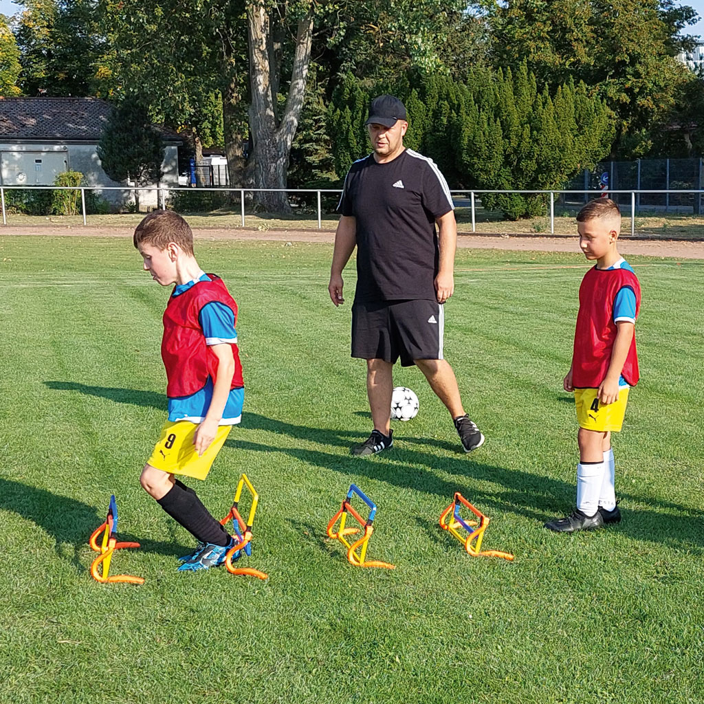 Mini-Trainingshürden, 4er-Set