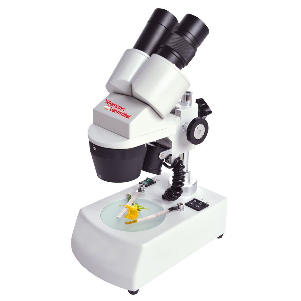 Stereomikroskop ST-30 – 20x und 40x Vergrößerung