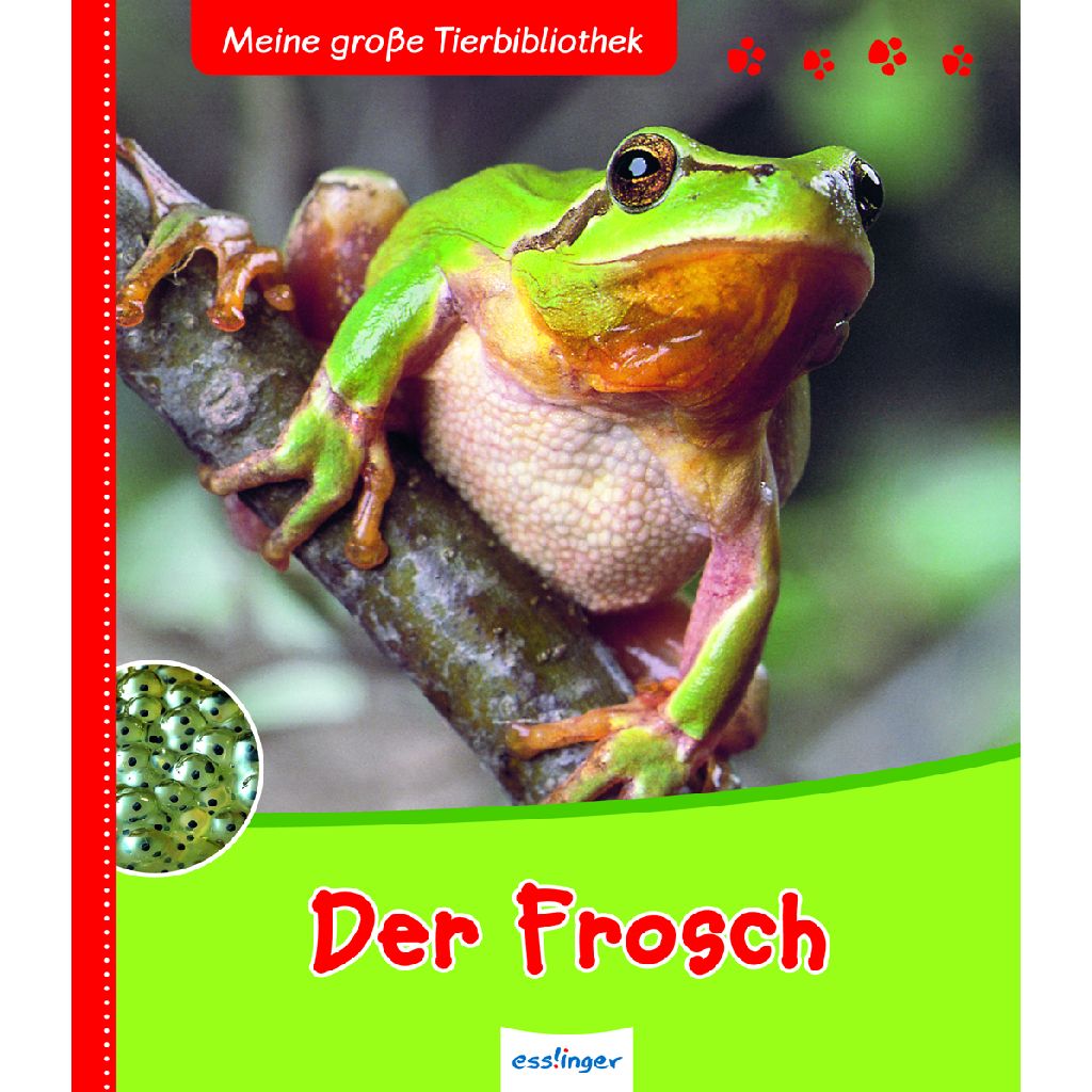 Meine große Tierbibliothek Der Frosch