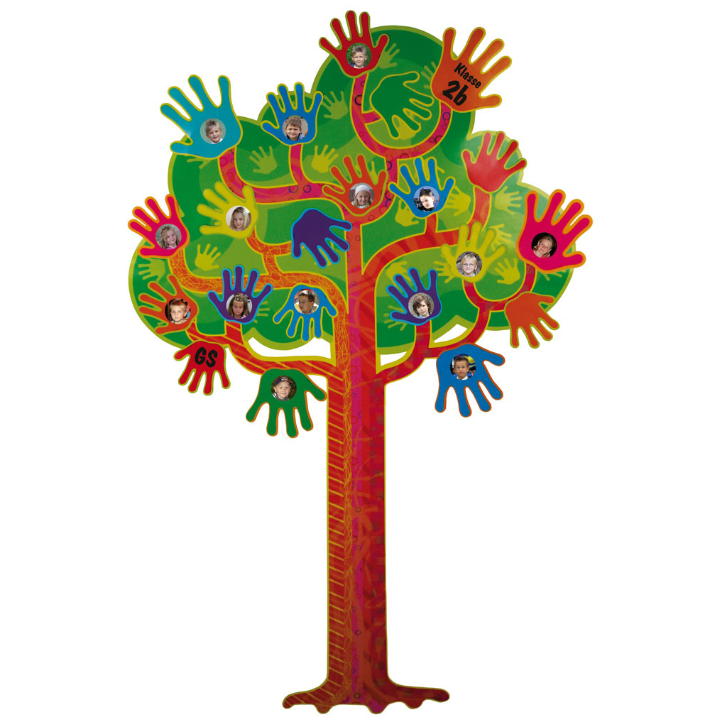Gruppen- und Klassenstammbaum