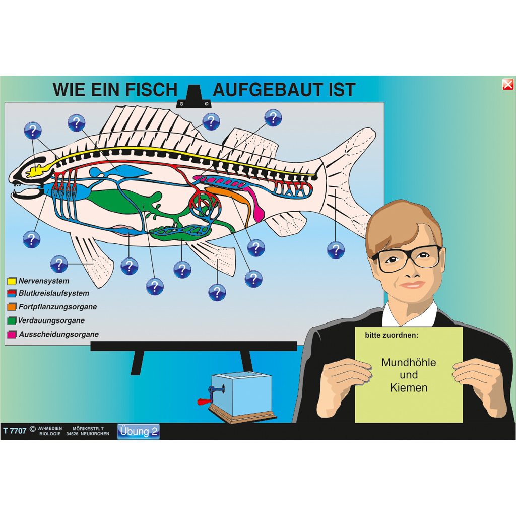 Interaktive digitale Tafelbilder ZOOLOGIE 2