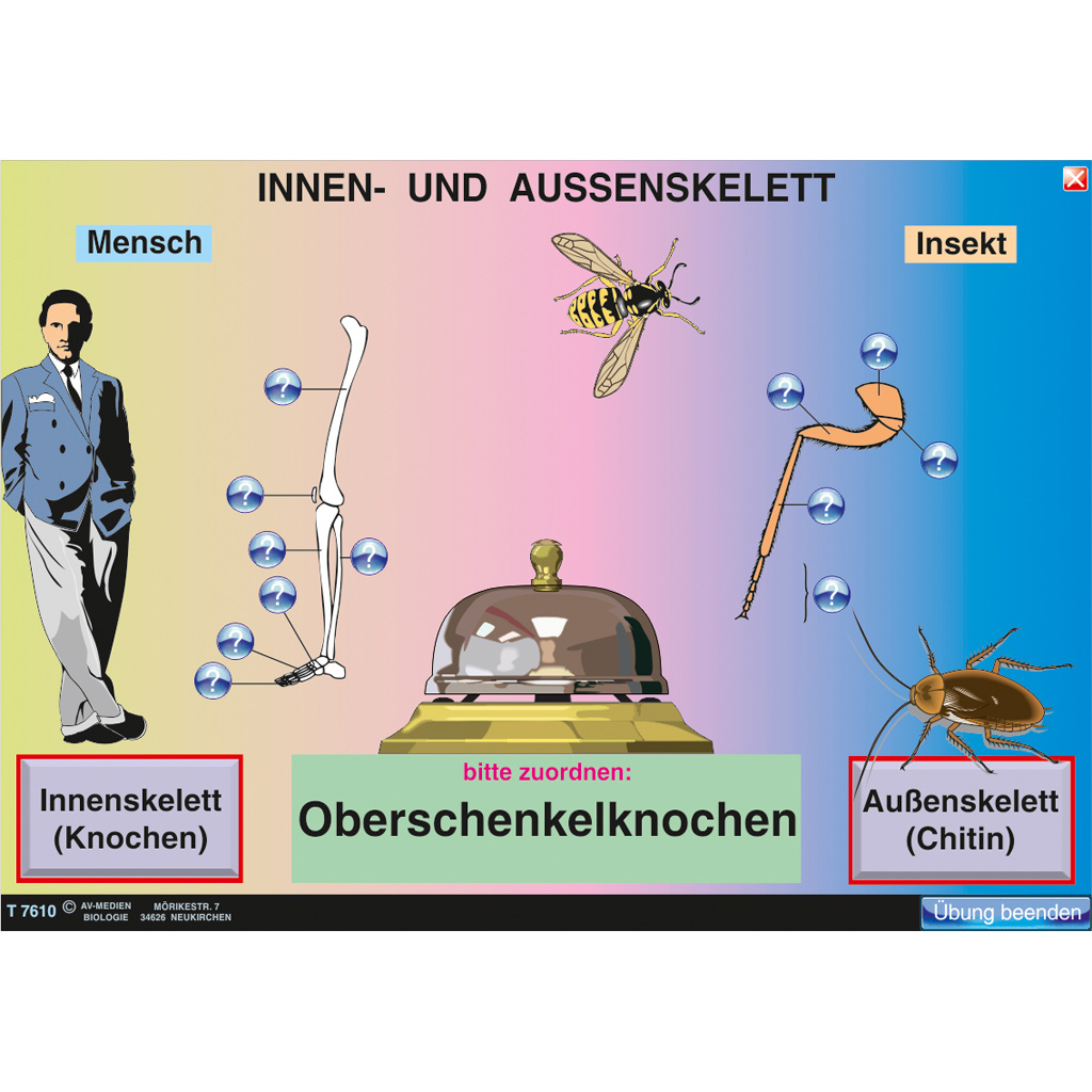 Interaktive digitale Tafelbilder ZOOLOGIE 1