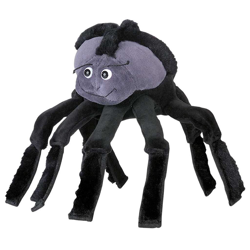 Die Spinne